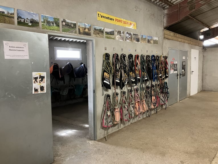 Centro equestre chiavi in mano!