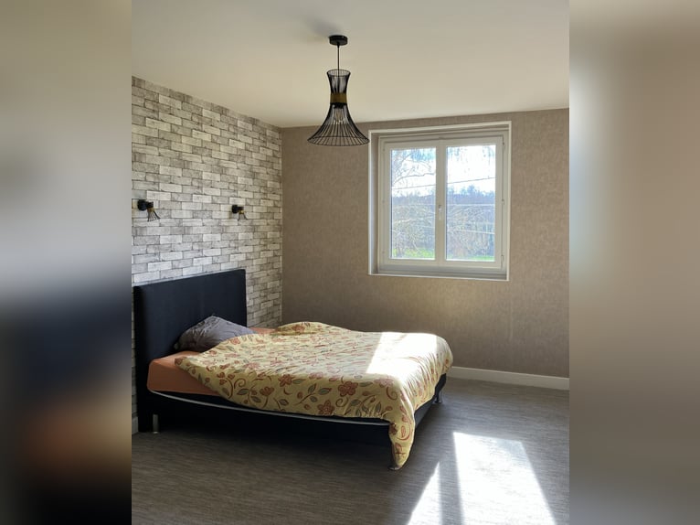 Centro equestre chiavi in mano!