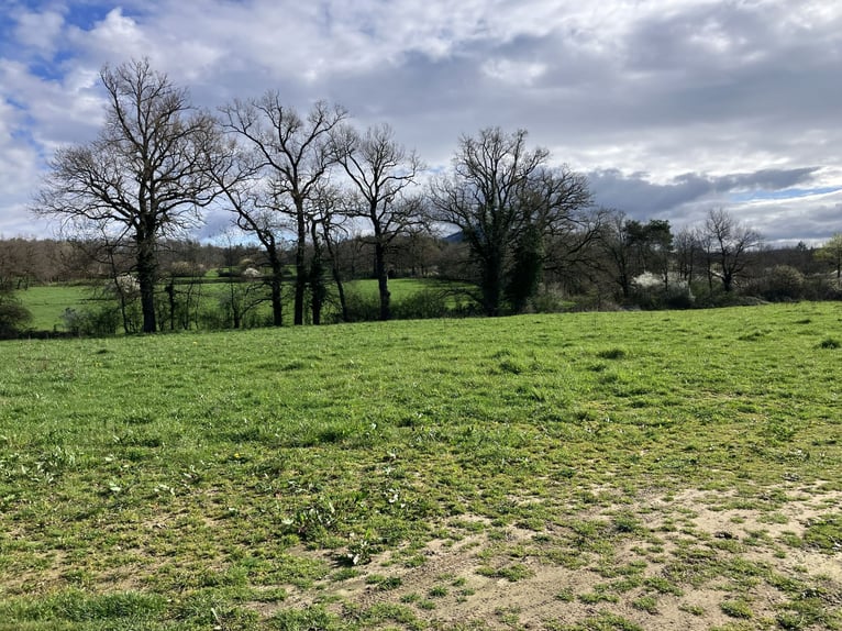 Centro equestre chiavi in mano!