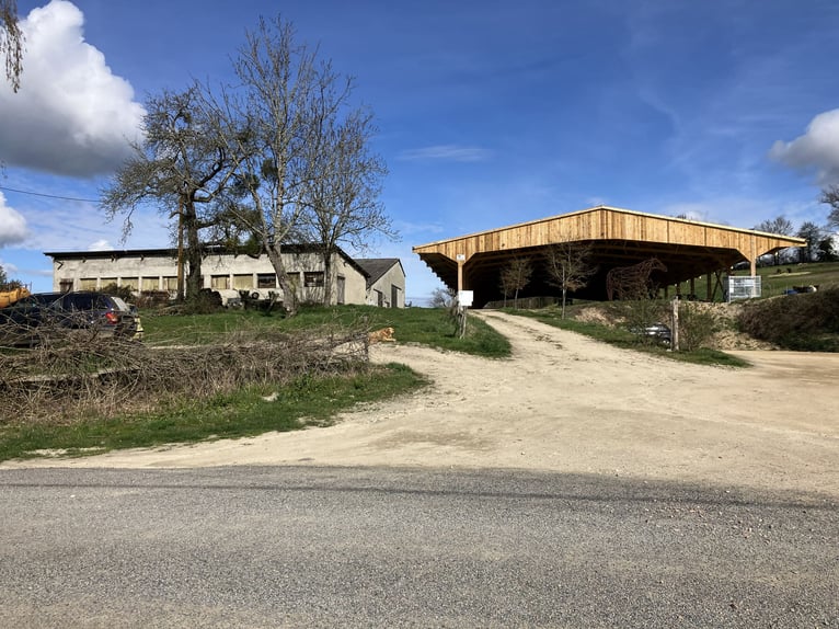Centro equestre chiavi in mano!