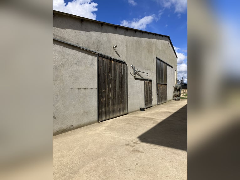 Centro equestre chiavi in mano!