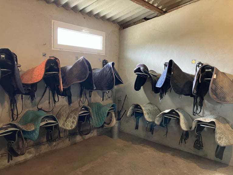 Centro equestre chiavi in mano!