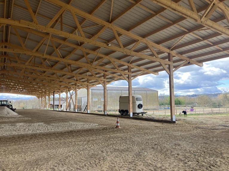 Centro equestre chiavi in mano!