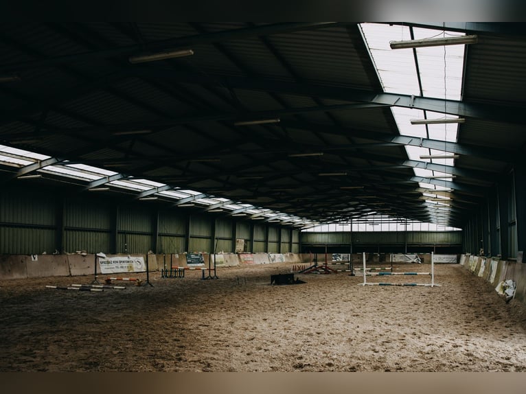 Centro equestre funzionante vicino a Lublino
