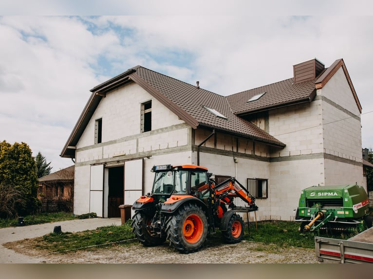 Centro equestre funzionante vicino a Lublino