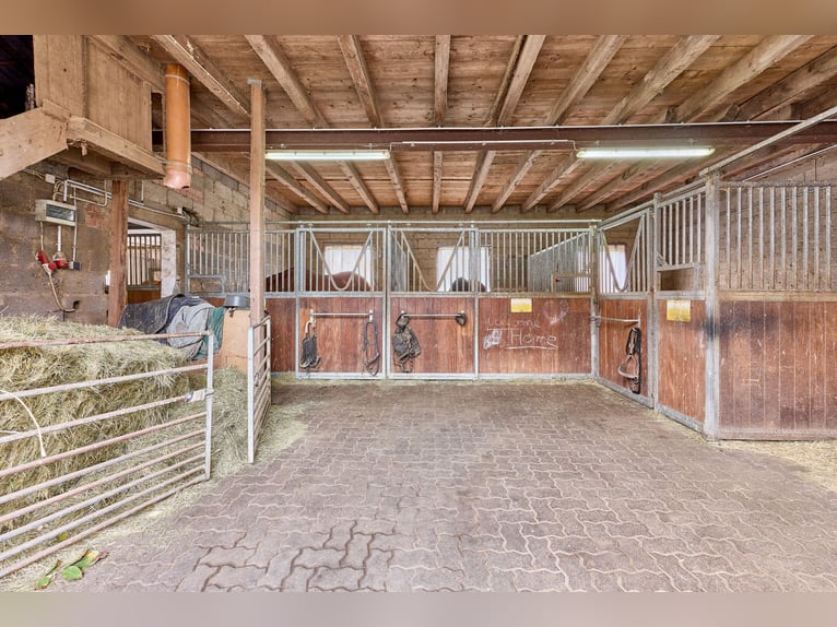 Centro equestre in Assia, nel distretto di Main-Kinzig – proprietà isolata con maneggio coperto, cas