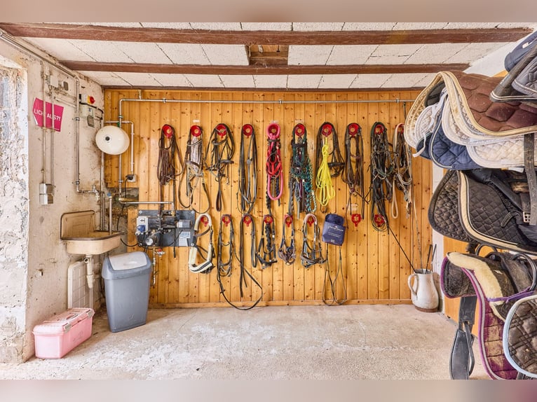 Centro equestre in Assia, nel distretto di Main-Kinzig – proprietà isolata con maneggio coperto, cas