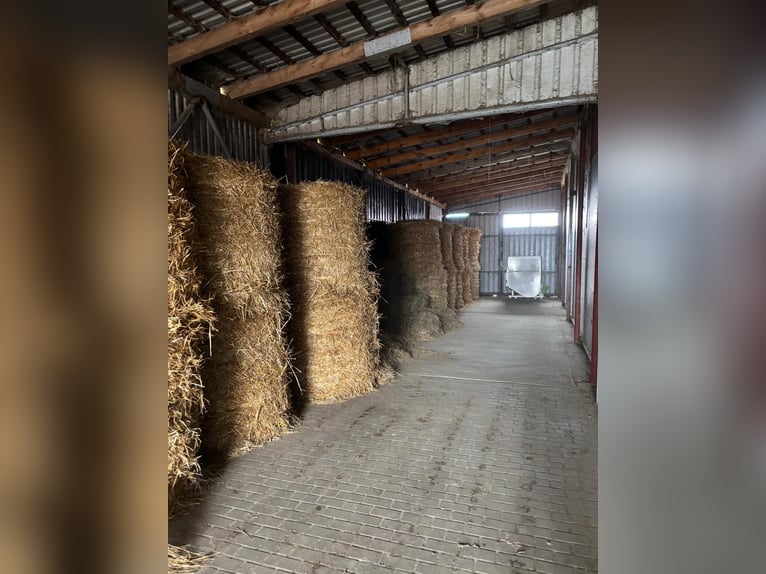 Centro equestre moderno in vendita