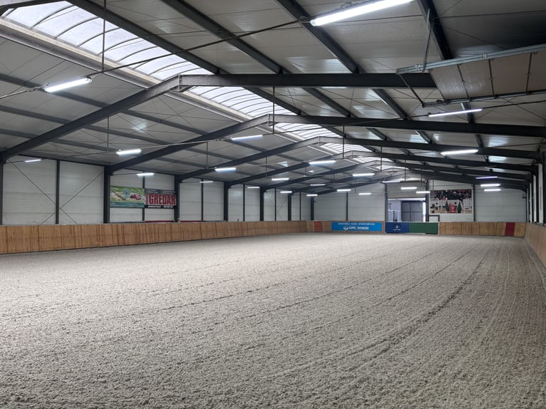 Centro equestre moderno in vendita