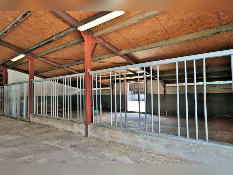 Centro equestre professionale nel NRW