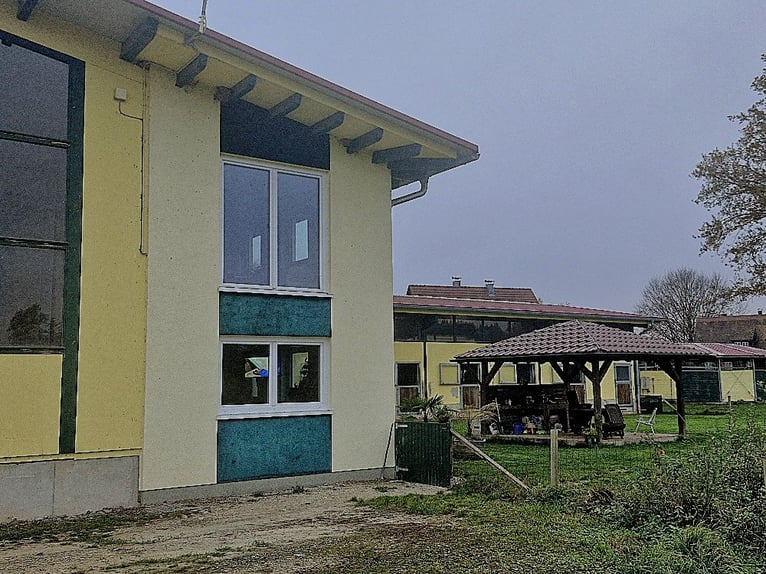 Centro equestre sul lago