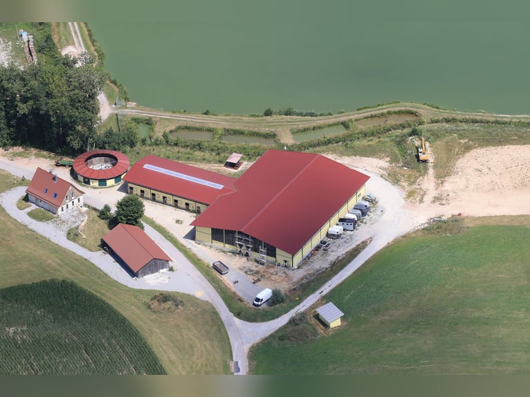 Centro equestre sul lago