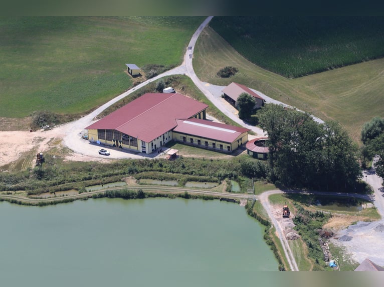 Centro equestre sul lago