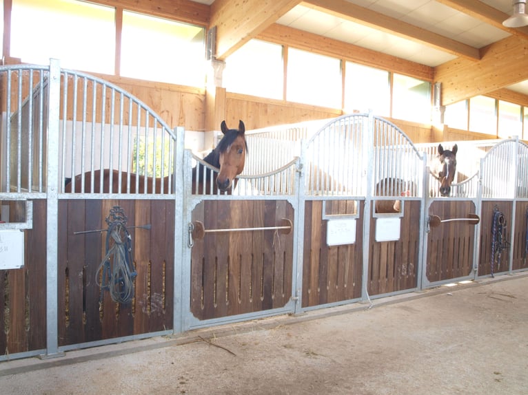 Centro equestre sul lago