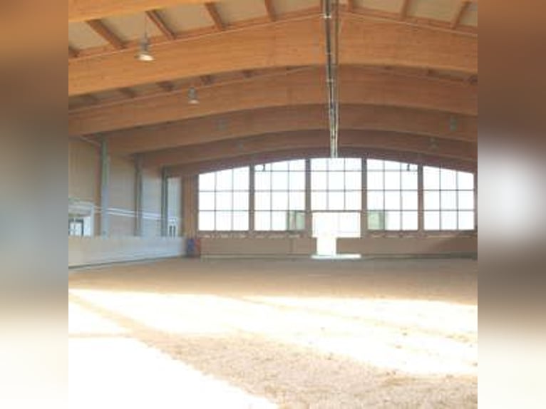 Centro equestre sul lago