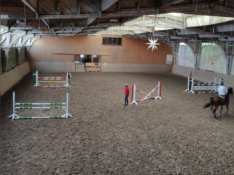 Centro equestre vicino a Dresda - Partecipazione