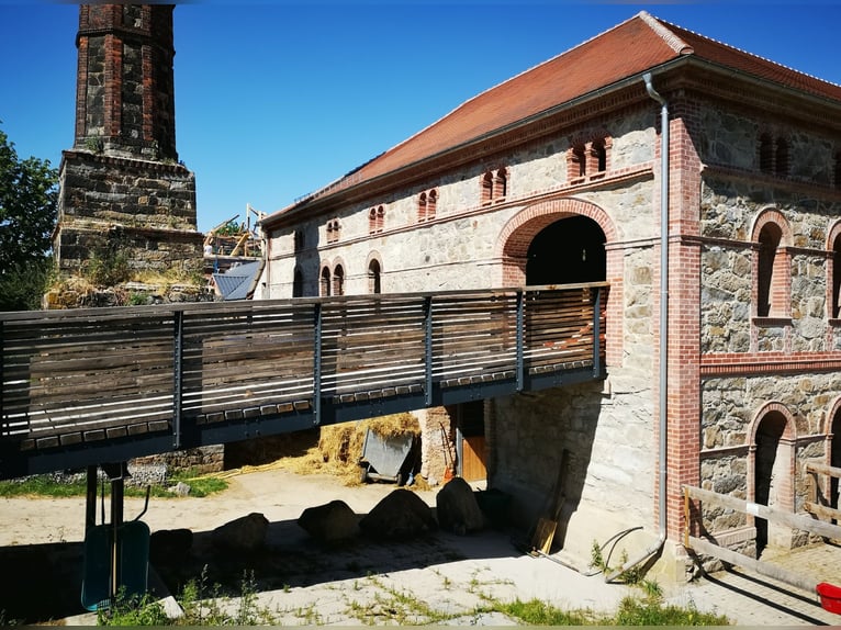 Centro equestre vicino a Dresda - Partecipazione