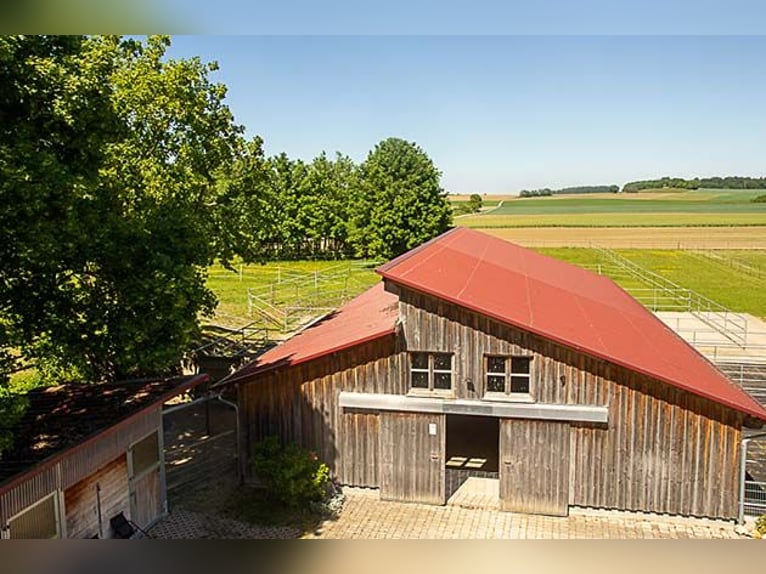 Centro equestre vicino a Landsberg am Lech – vivere e lavorare con i cavalli