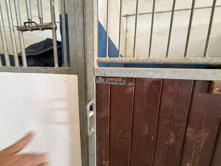 Centro ippico a Castellón Nord