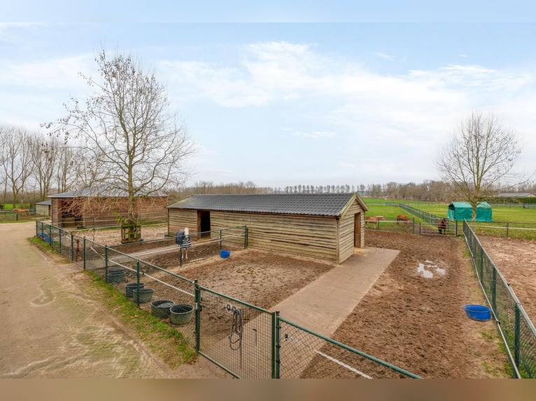 Complete equestrian accommodation