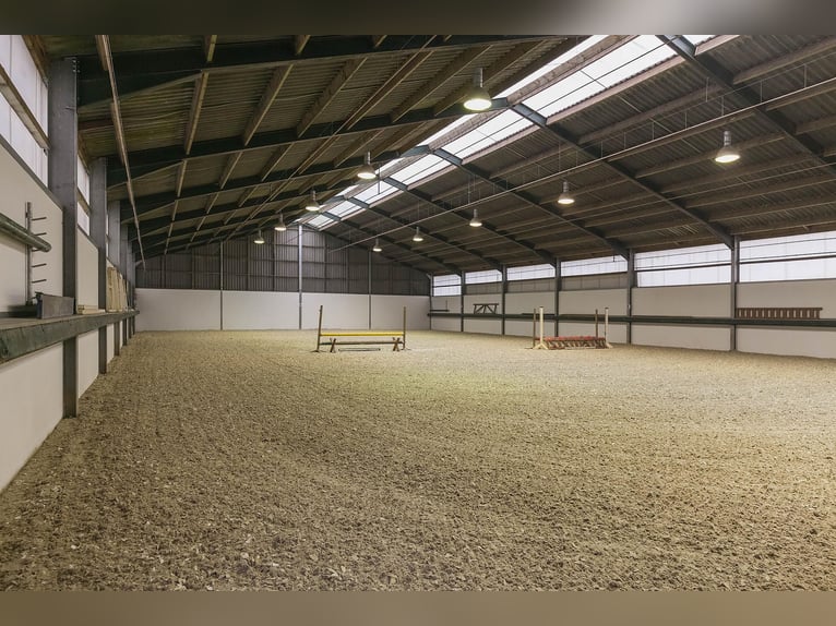 Complete Equestrian Facility with Residence and Extensive Amenities