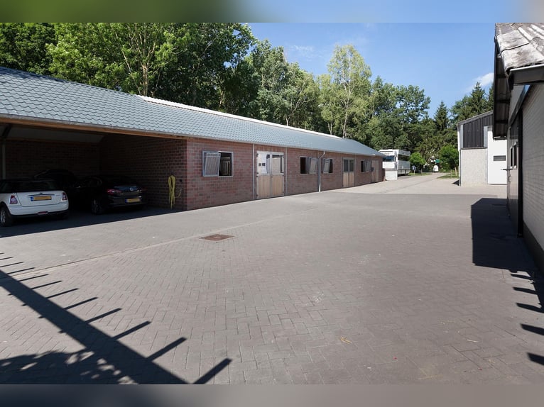 Complete Equestrian Facility with Residence and Extensive Amenities