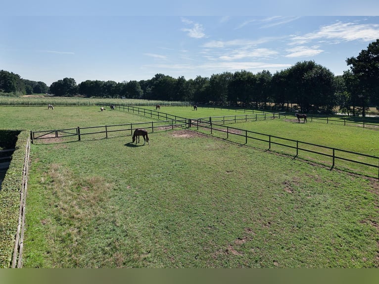 Complete Equestrian Facility with Residence and Extensive Amenities