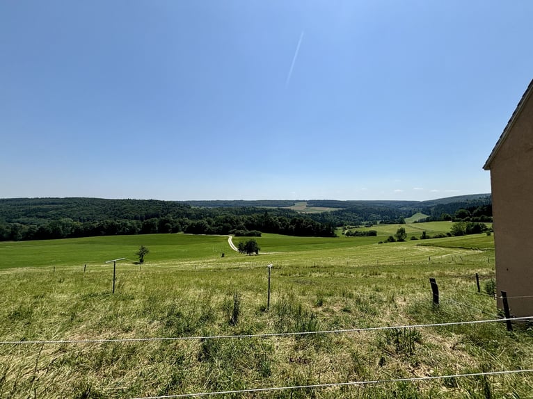 Ein Paradies für Naturliebhaber und Pferdefreunde 