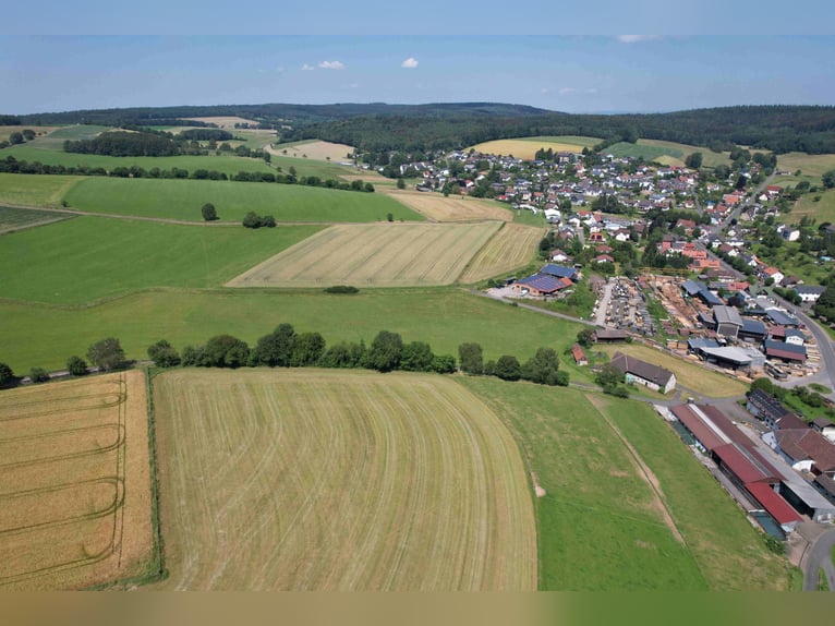 Einzigartiges Grundstück zur Errichtung einer neuen Reitanlage oder für andere Zwecke in bester Lage