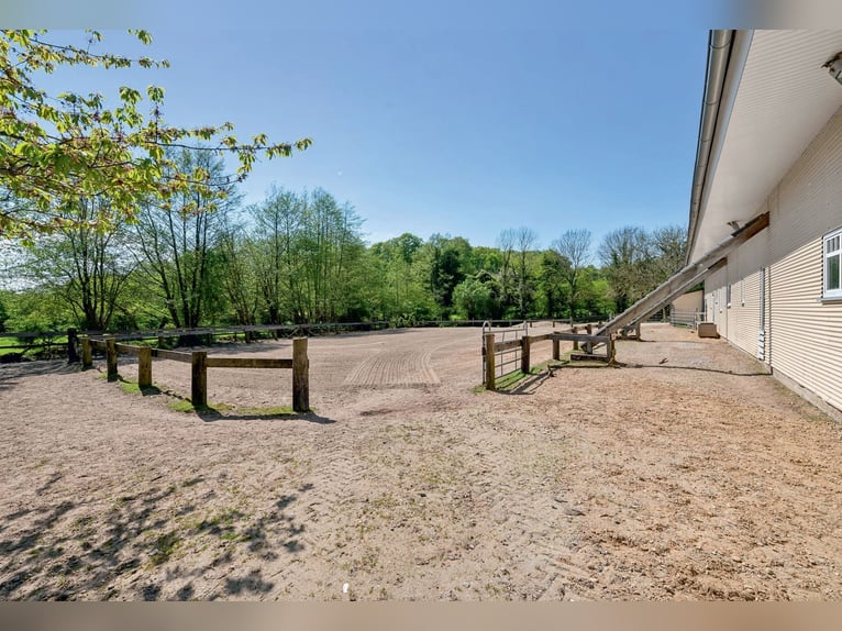 Elegantes Privatanwesen in Alleinlage für Pferdefreunde in ruhiger Lage