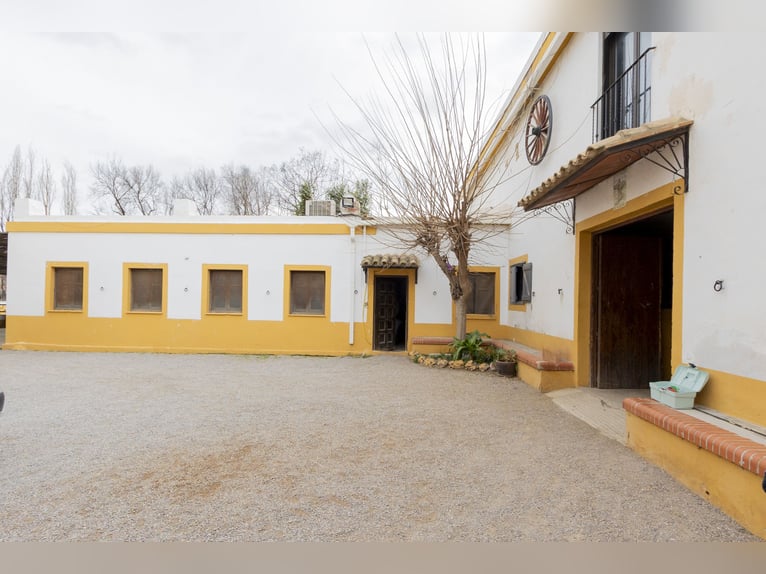 Equitazione e chalet in vendita vicino a Valencia