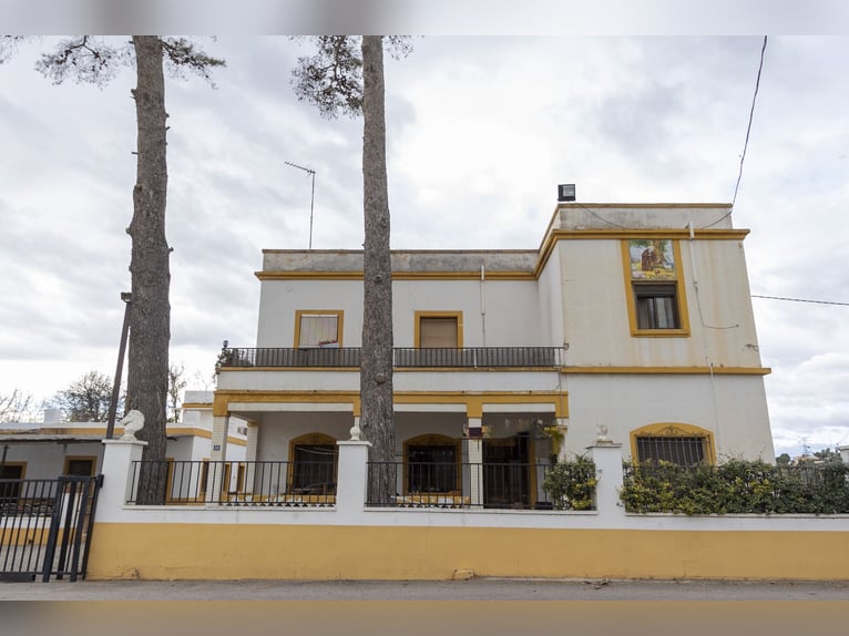 Equitazione e chalet in vendita vicino a Valencia