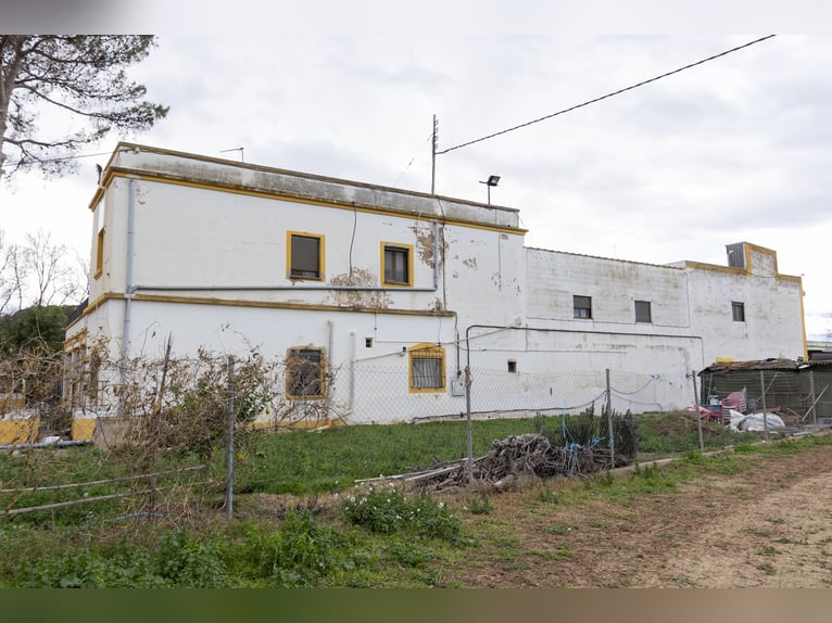 Equitazione e chalet in vendita vicino a Valencia
