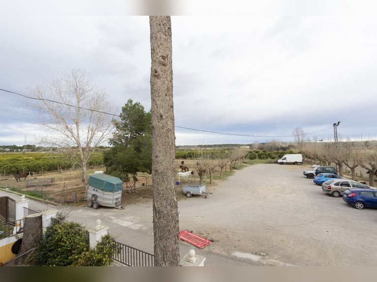 Equitazione e chalet in vendita vicino a Valencia