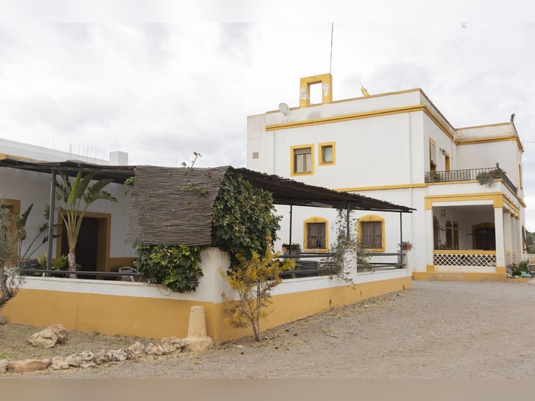 Equitazione e chalet in vendita vicino a Valencia