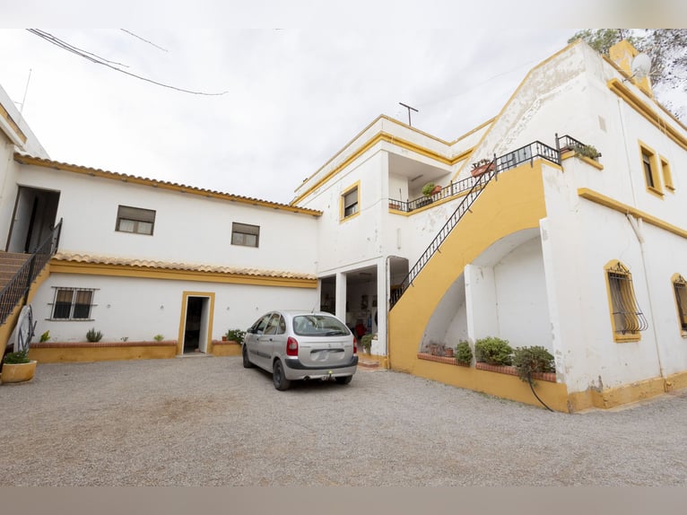 Equitazione e chalet in vendita vicino a Valencia