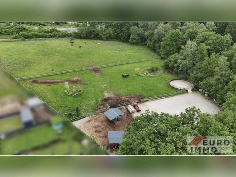 Esclusiva proprietà equestre ai margini del bosco: residenza e infrastrutture professionali per l'al