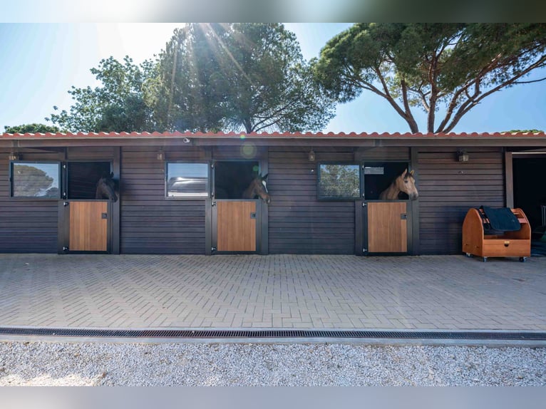 Esclusiva proprietà privata nel "Golden Triangle", Portogallo