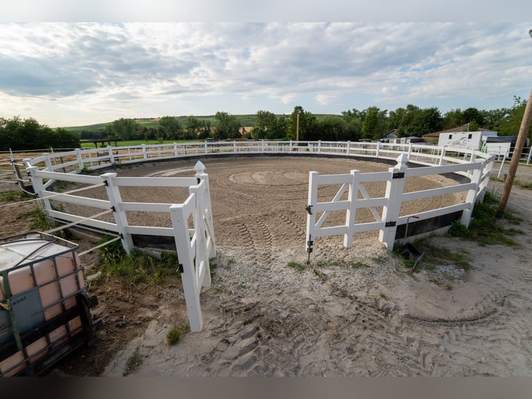 Esclusivo centro equestre con abitazione recentemente ristrutturata, maneggio coperto e ampi pascoli
