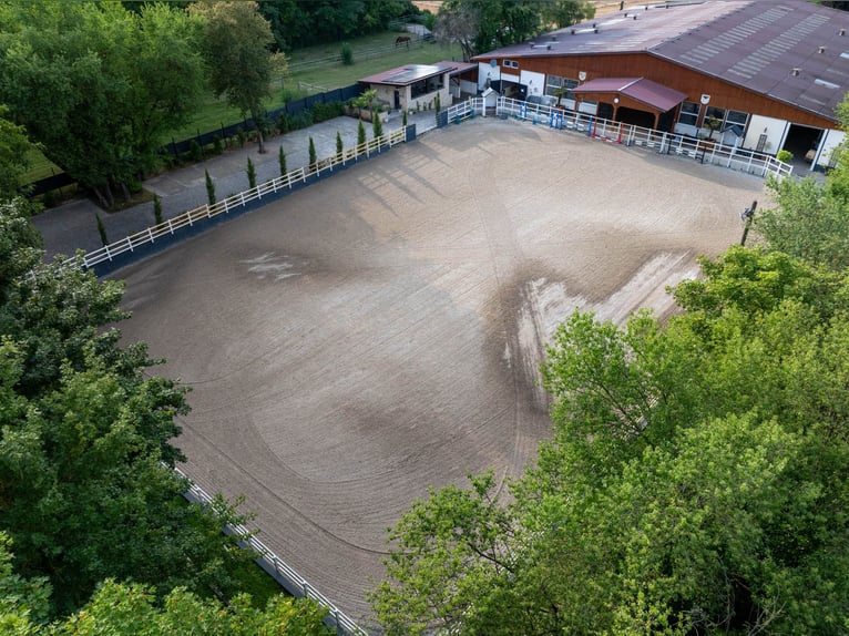 Esclusivo centro equestre con abitazione recentemente ristrutturata, maneggio coperto e ampi pascoli