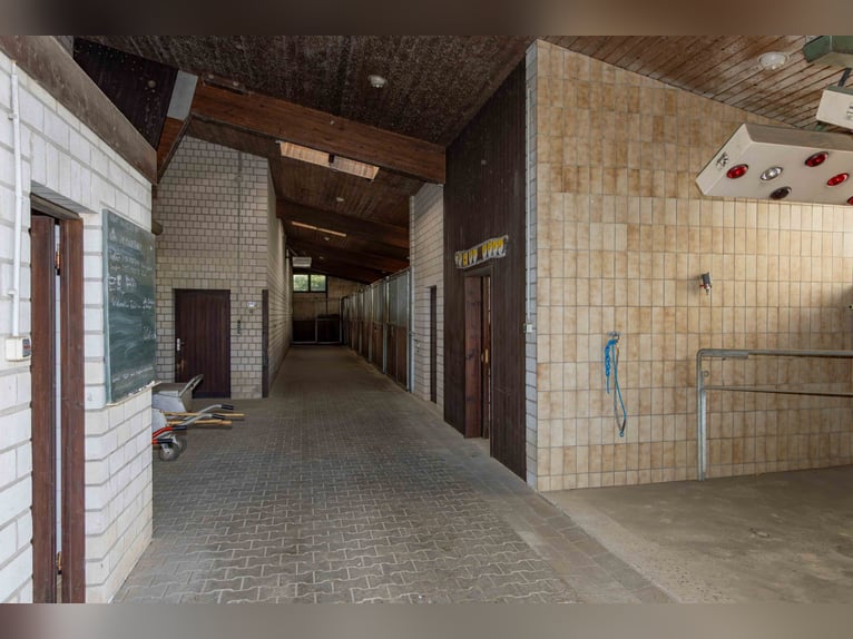 Esclusivo centro ippico in Sauerland | Casa di campagna, appartamenti per le vacanze, maneggio coper