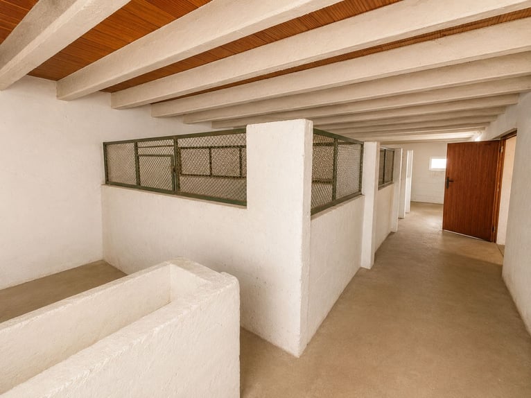 Esclusivo chalet di 400 m² su due livelli con proprietà di 12.000 m² e strutture equestre - Dénia