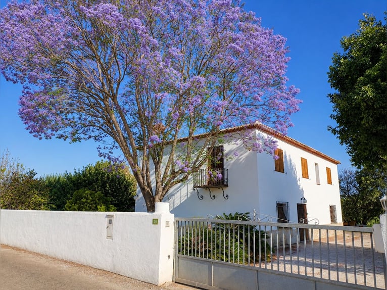 Esclusivo chalet di 400 m² su due livelli con proprietà di 12.000 m² e strutture equestre - Dénia