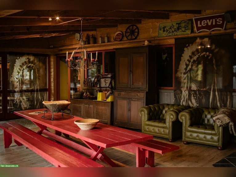 Esclusivo complesso equestre nelle Vosgi