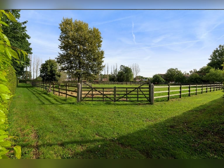 Exclusief hippisch eigendom met luxe woonboerderij