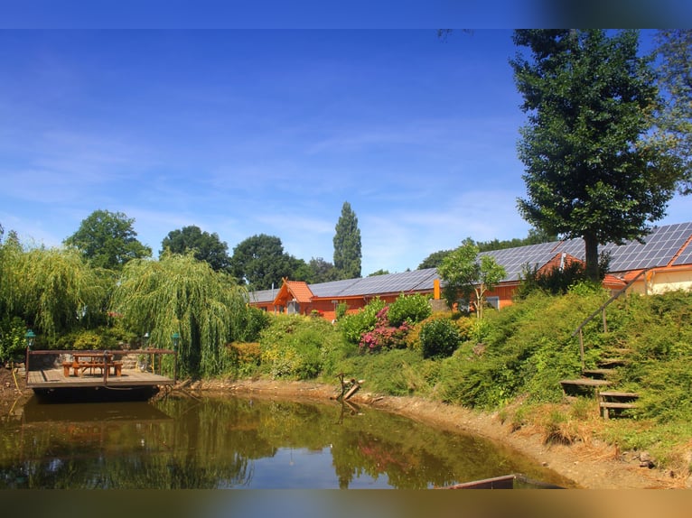 Exklusiver Pferdehof - TOP Ausstattung inkl. Photovoltaikanlage (bisher REHA Zentrum) Niedersachsen Exklusiver Pferdehof - TOP Ausstattung inkl. Photovoltaikanlage (bisher REHA Zentrum) Niedersachsen