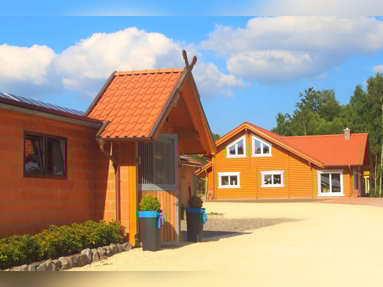 Exklusiver Pferdehof - TOP Ausstattung inkl. Photovoltaikanlage (bisher REHA Zentrum) Niedersachsen Exklusiver Pferdehof - TOP Ausstattung inkl. Photovoltaikanlage (bisher REHA Zentrum) Niedersachsen