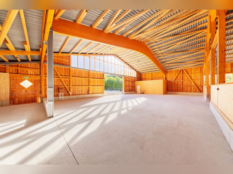 Exklusives Reitsportanwesen nahe Hamburg - 43 Hektar & neue Reithalle!