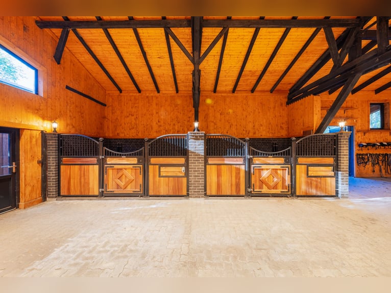 Exklusives Reitsportanwesen nahe Hamburg - 43 Hektar & neue Reithalle!