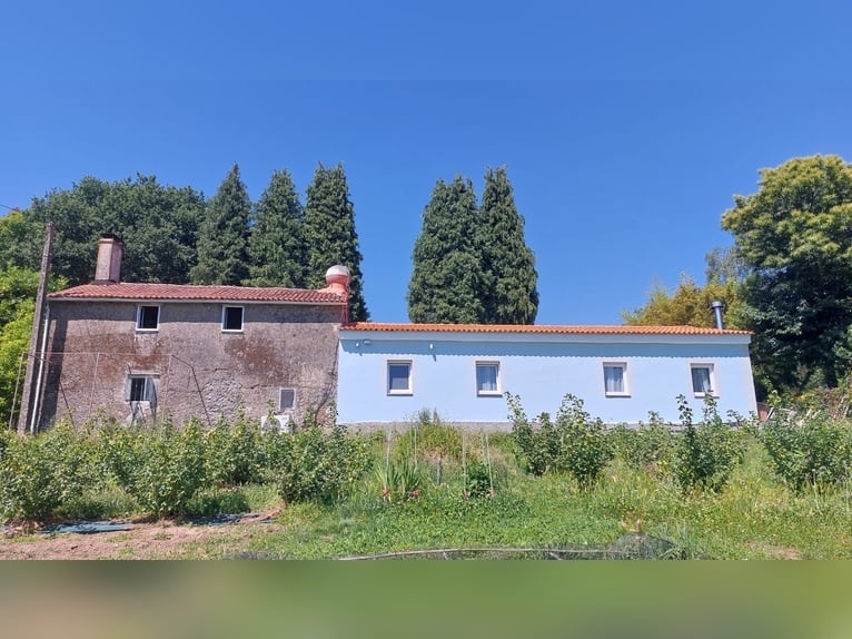 Fattoria con casa e maneggio privato